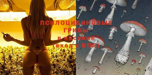 гашик Алексеевка