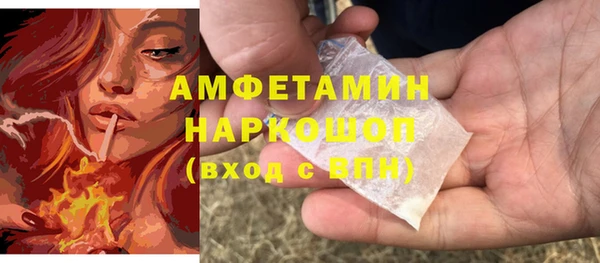 гашик Алексеевка