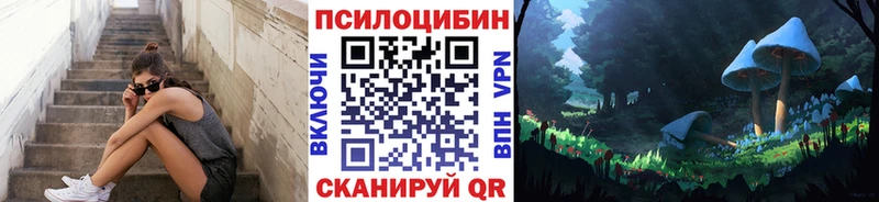 hydra ONION  Александровское  Галлюциногенные грибы Magic Shrooms 