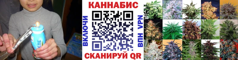 Каннабис план наркотики Александровское